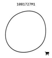 AGCO 1081727M1 Уплотнительное кольцо гидравлического насоса