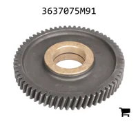 AGCO 3637075M91 Цилиндрическая шестерня