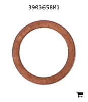 AGCO 3903658M1 Шайба