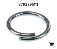 AGCO 3792595M1 Кольцо