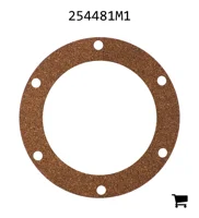 AGCO 254481M1 Прокладка