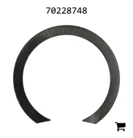 AGCO 70228748 Кольцо