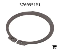 AGCO 3760951M1 Стопорное кольцо
