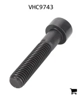 AGCO VHC9743 Винт с шестигранной головкой