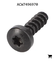 AGCO ACW7496970 Саморез