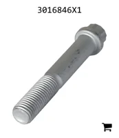 AGCO 3016846X1 Винт