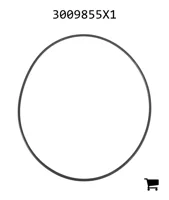 AGCO 3009855X1 Уплотнительное кольцо