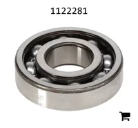 AGCO 1122281 Цилиндрический шариковый подшипник