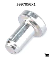 AGCO 3007850X1 Палец вилки