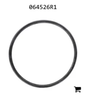 AGCO 064526R1 Уплотнительное кольцо