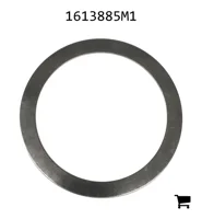 AGCO 1613885M1 Шайба