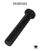 AGCO 592055D1 Палец