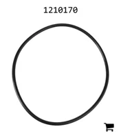 AGCO 1210170 Уплотнение