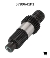 AGCO 3789641M1 Вал