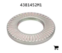 AGCO 4381452M1 Шайба