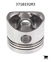AGCO 3710192M3 Поршень