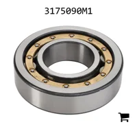 AGCO 3175090M1 Подшипник