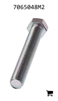 AGCO 7065048M2 Болт с шестигранной головкой