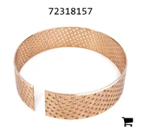 AGCO 72318157 Подшипник скольжения