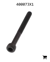 AGCO 400073X1 Болт с шестигранной головкой