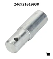 AGCO 246921010030 Болт