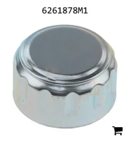 AGCO 6261878M1 Воздушный фильтр