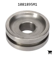 AGCO 1081895M1 Поршень гидроцилиндра