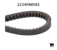 AGCO 2224P00501 Ремень клиновой