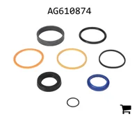 AGCO AG610874 Комплект сальников