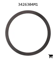 AGCO 3426304M1 Шайба