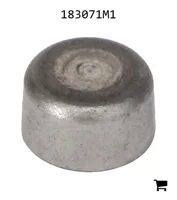AGCO 183071M1 Заглушка