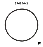 AGCO 376946X1 Уплотнительное кольцо