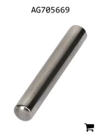 AGCO AG705669 Роликовый подшипник
