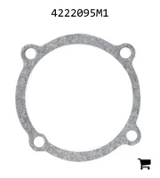 AGCO 4222095M1 Прокладка
