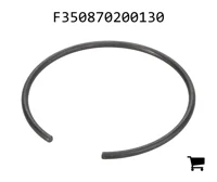 AGCO F350870200130 Стопорная Шайба Гидроцилиндра Верхнего Рычага