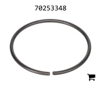 AGCO 70253348 Кольцо
