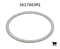 AGCO 3617465M1 Регулировочная шайба