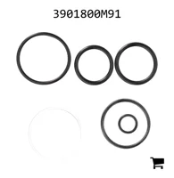 AGCO 3901800M91 Комплект сальников