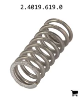 AGCO 2.4019.619.0 Пружина