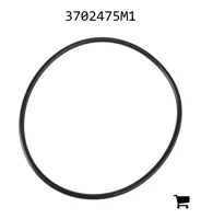 AGCO 3702475M1 Уплотнительное кольцо