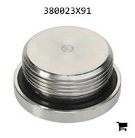 AGCO 380023X91 Заглушка