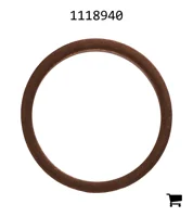AGCO 1118940 Шайба