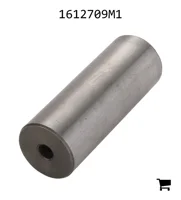 AGCO 1612709M1 Палец вилки