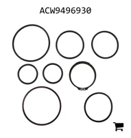 AGCO ACW9496930 Комплект уплотнительных колец