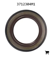 AGCO 3712304M1 Сальник передней опоры