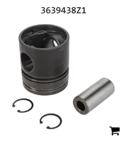 AGCO 3639438Z1 Поршень