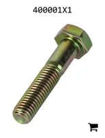 AGCO 400001X1 Болт с шестигранной головкой