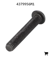 AGCO 4379956M1 Винт