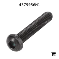 AGCO 4379956M1 Винт