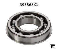 AGCO 395568X1 Цилиндрический шариковый подшипник